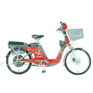 Bình ắc quy xe đạp điện Asama ASG chính hãng