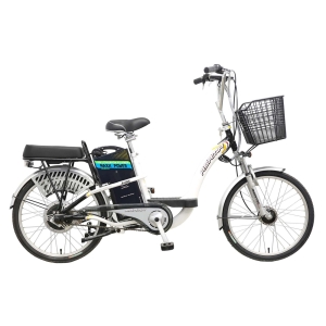 Bình ắc quy xe đạp điện Asama EBK 002R chính hãng