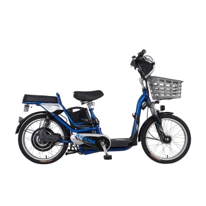 Bình ắc quy xe đạp điện Asama EBK RY2001 chính hãng