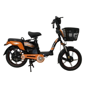 Bình ắc quy xe đạp điện AVA Sport chính hãng