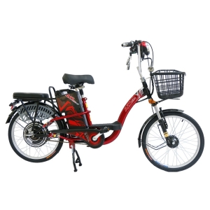 Bình ắc quy xe đạp điện AZI 22inch chính hãng
