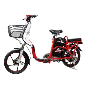 Bình ắc quy xe đạp điện Bmx Azi Bike chính hãng