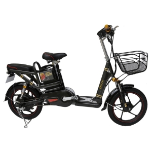 Bình ắc quy xe đạp điện Bmx Azi Carbon chính hãng