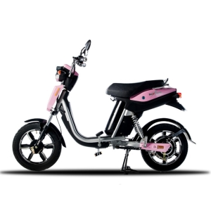 Bình ắc quy xe đạp điện Anbico Bat-X chính hãng