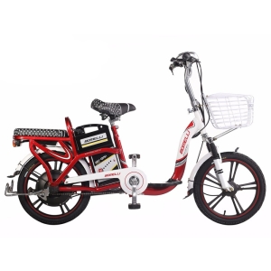 Bình ắc quy xe đạp điện Bomelli BC 18inch chính hãng