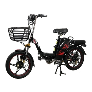 Bình ắc quy xe đạp điện AZI Bike 18inch chính hãng