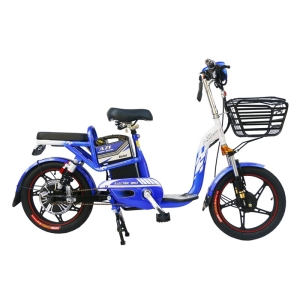 Bình ắc quy xe đạp điện AZI Bike 18inch có giảm xóc chính hãng