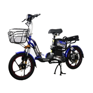 Bình ắc quy xe đạp điện AZI Bike Gold chính hãng