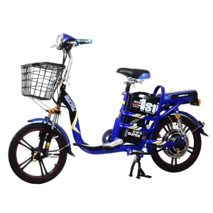 Bình ắc quy xe đạp điện Sonsu bike nhún sau chính hãng