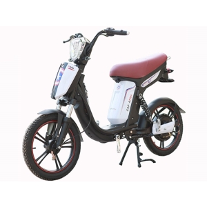 Bình ắc quy xe đạp điện Cap A Plus chính hãng