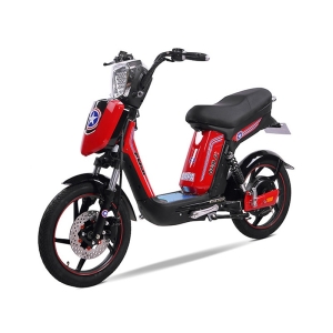 Bình ắc quy xe đạp điện Cap A2 Fuji chính hãng