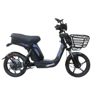 Bình ắc quy xe đạp điện Cap Azi Plus A7 chính hãng
