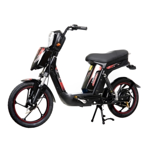 Bình ắc quy xe đạp điện Capazi chính hãng