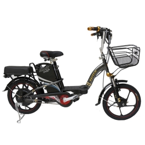 Bình ắc quy xe đạp điện Bmx Carbon 18inch chính hãng