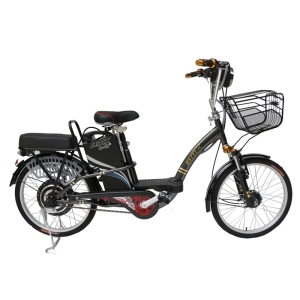 Bình ắc quy xe đạp điện Bmx Carbon 22inch chính hãng