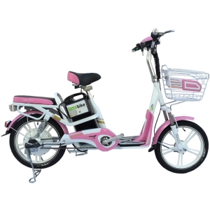 Bình ắc quy xe đạp điện Bmx Color chính hãng
