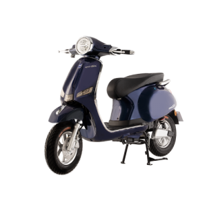 Bình ắc quy xe máy điện DK Roma SX New chính hãng