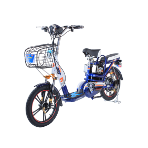 Bình ắc quy xe đạp điện DKBike 18A Plus chính hãng