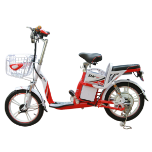 Bình ắc quy xe đạp điện DKBike 18D chính hãng