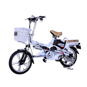 Bình ắc quy xe đạp điện DKBike 18V chính hãng