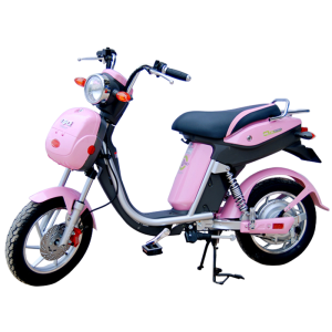 Bình ắc quy xe đạp điện DKBike DYQ chính hãng