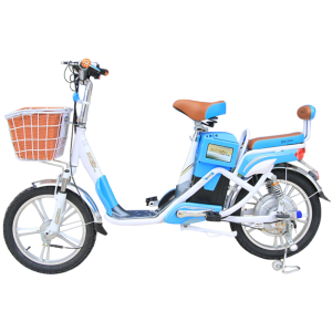 Bình ắc quy xe đạp điện DKBike Hikaru chính hãng