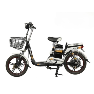 Bình ắc quy xe đạp điện DTP Skybike chính hãng