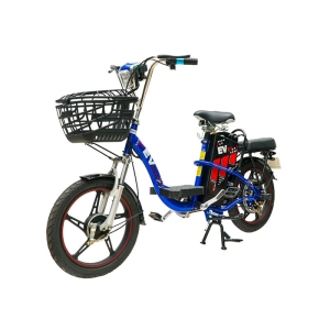 Bình ắc quy xe đạp điện EV E1 18inch chính hãng