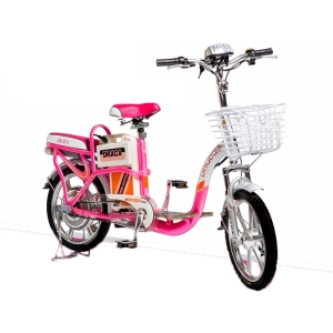 Bình ắc quy xe đạp điện Draca E10 chính hãng