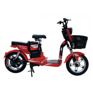 Bình ắc quy xe đạp điện Smart E2 chính hãng