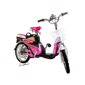 Bình ắc quy xe đạp điện Draca E4 chính hãng