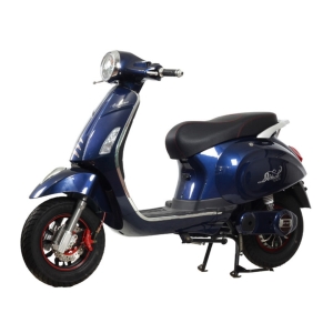 Bình ắc quy xe máy điện Espero Vespa chính hãng