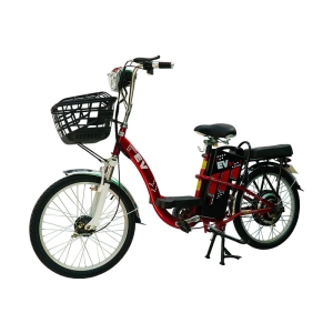 Bình ắc quy xe đạp điện EV E1 22inch chính hãng