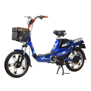 Bình ắc quy xe đạp điện F8 Nijia chính hãng