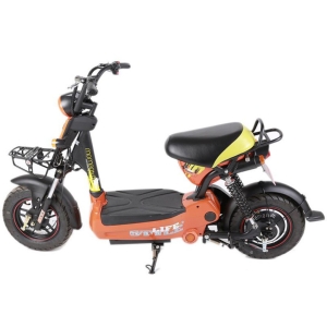 Bình ắc quy xe đạp điện Giant M133i chính hãng