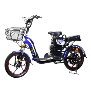 Bình ắc quy xe đạp điện Bmx Gold 18inch chính hãng