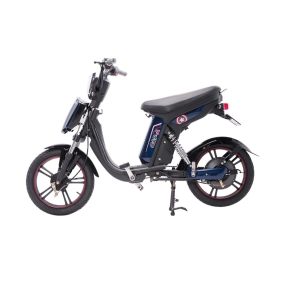 Bình ắc quy xe đạp điện Hkbike Cap A chính hãng