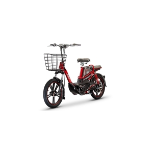 Bình ắc quy xe đạp điện Hola E2 chính hãng