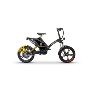 Bình ắc quy xe đạp điện Hola H1 chính hãng