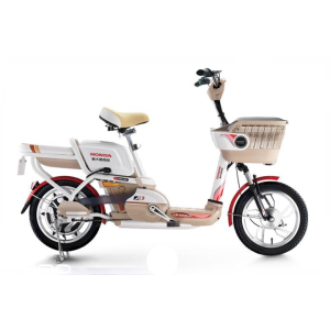 Bình ắc quy xe đạp điện Honda A3 chính hãng