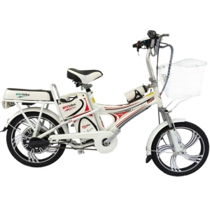 Bình ắc quy xe đạp điện Bmx Hummer 18inch chính hãng