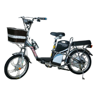 Bình ắc quy xe đạp điện Sonsu inox 18inch chính hãng