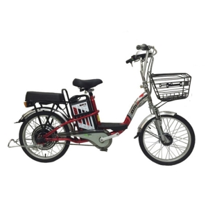 Bình ắc quy xe đạp điện Bmx Inox màu 50% vành 20inch chính hãng