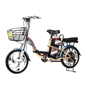 Bình ắc quy xe đạp điện Bmx Inox màu 50% vành 18inch chính hãng
