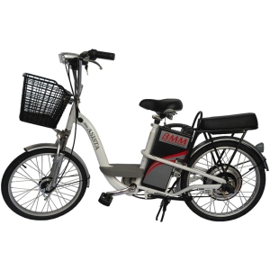 Bình ắc quy xe đạp điện ASISTA BMM khung sơn 22 chính hãng