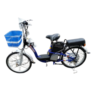 Bình ắc quy xe đạp điện Sonsu khung sơn 22inch chính hãng