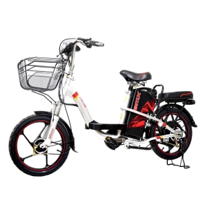 Bình ắc quy xe đạp điện Bmx khung sơn vành 18 chính hãng