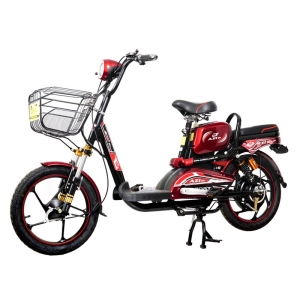 Bình ắc quy xe đạp điện AZI Life chính hãng