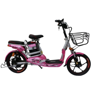 Bình ắc quy xe đạp điện Bmx Love 18inch chính hãng