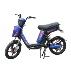 Bình ắc quy xe đạp điện LTP Bike Cap A20 chính hãng
